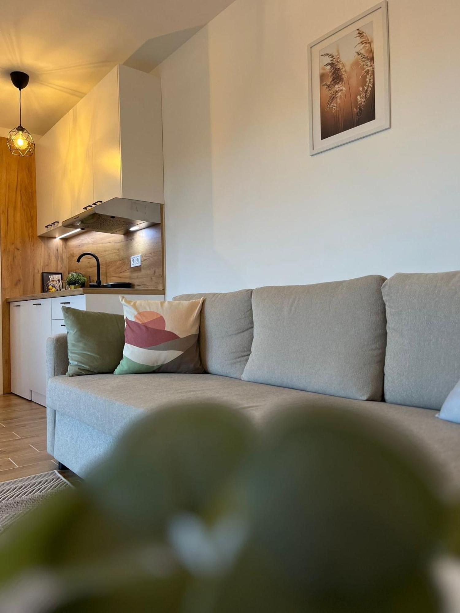 Apartmani Zivkovic Велико-Градиште Экстерьер фото